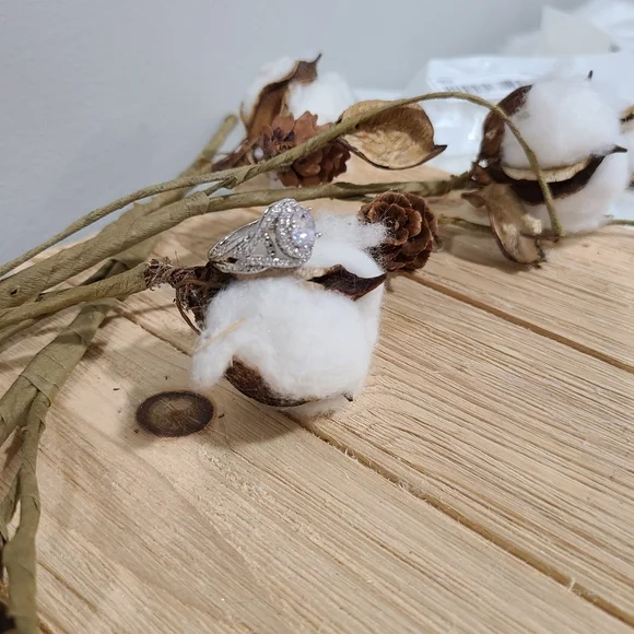 🤍🤍NEW🤍🤍BREATHTAKING!! WOW FACTOR!! CZ Silver Plated Ring🤍🤍 - Picture 16 of 16